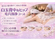 ロイズ(ROYCE)の雰囲気(肌質改善ならROYCEできまり/丁寧なカウンセリング有り)