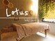 ロータス(Lotus)の写真