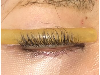 クインビー(Queen Bee)/【まつげパーマ】施術中