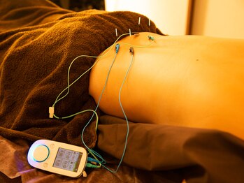 マタタビ(mata-tabi)/