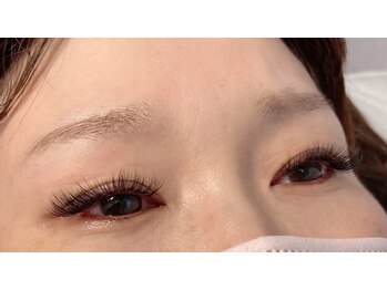 シスタス(Cistus)/ボリュームラッシュ120束