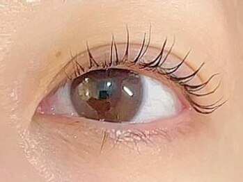 サロン アキ(Salon Aki)/ラッシュリフト