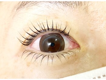 ウミカサロン(Umika Salon)/まつげパーマ上下