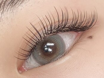 AMK/フラットラッシュ