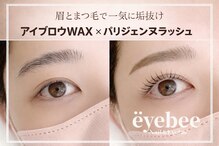 アイビー(eyebee)