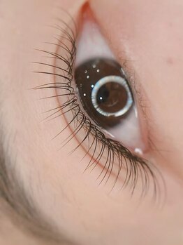 BEL EYE BEAUTY 秋葉原店 【まつげパーマ・LED・アンドヘルシー】/フラットラッシュ