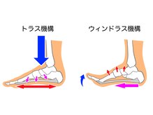 かんとま整骨院 中区鶴舞院/足底筋膜炎はなぜおこる？