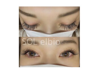 ソル エルビオ(SOL elbio)/バインドロック140束