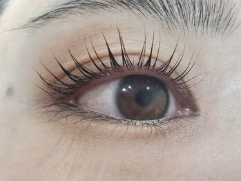 エステル/似合わせまつ毛パーマ