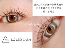 セジョリ(C'est joli)