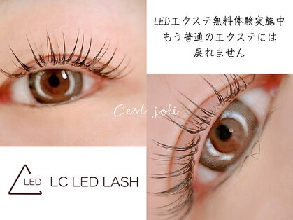 セジョリ(C'est joli)の写真