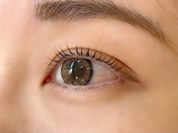 プロシェ 大宮店(Proche)/パリジェンヌラッシュリフト