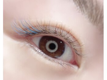 ホワイトテラス(White Terrace)/まつ毛エクステ