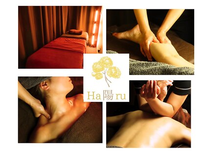 ハル(陽 HARU)の写真