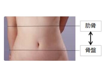 ヒラキヒミ。/くびれをつくるには??