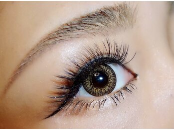 シャイニーラッシュ(shiny lash)/ボリュームラッシュ マツエク