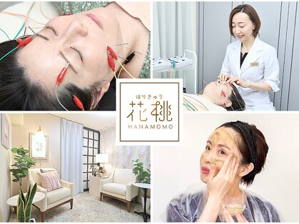 はりきゅう花桃の写真