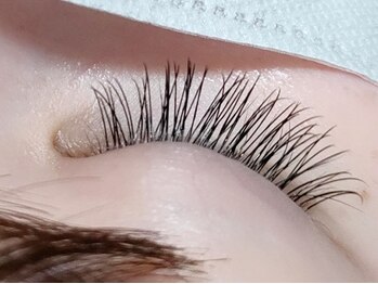 まつげやさんプラス 広島段原(まつげやさんplus)/100本