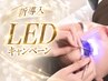 【導入キャンペーン/LEDマツエク】ボリューム/シングルプラス80束