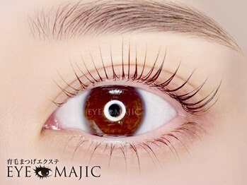 アイマジック 新宿南口店(EYE MAJIC)の写真/【まつげパーマ＋眉毛】のお得＆時短Set◎骨格診断付で一気に垢抜け眉毛!納得の仕上り＆モチでリピ-タ-多数