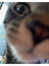 ベビーネイル(Baby nail)&nbsp;高橋 かなめ