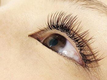 ウルカ アイラッシュ(uruka EYELASH)/フラットラッシュブラウン 160本