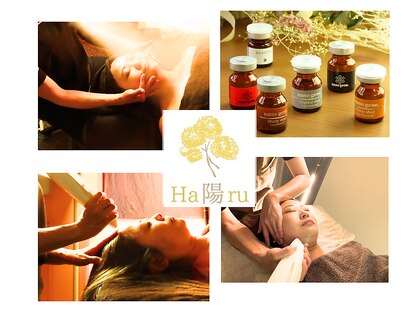 ハル(陽 HARU)の写真