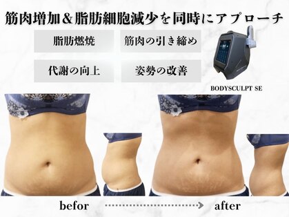 スナオ(sunao)の写真