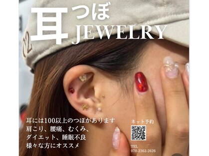 フル(FURU)の写真