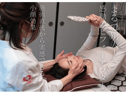 ロータス(LOTUS)の写真