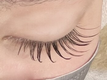 ニスタ セルクル(nista cercle)/フラットラッシュ100本