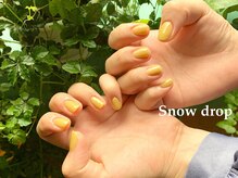 スノー ドロップ(Snow drop)/ピスタチオ