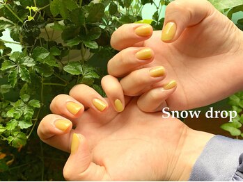 スノー ドロップ(Snow drop)/ピスタチオ