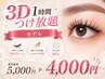 3Dモデル 1時間つけ放題 ¥5000→4000