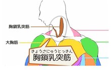 マイラビューティー(Mayla Beauty)