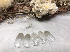 1.2月定額A ラメグラ