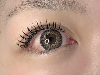 ラナン(Lanan)/フラットラッシュ