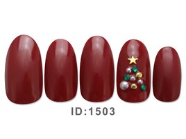 2025年11-12月ジェルシンプル