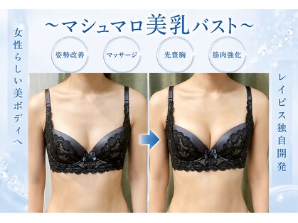 エステティック レイビス 池袋店(RAYVIS)の写真