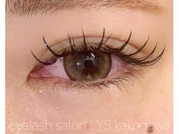 リス(Lys)/アップワードラッシュ160本