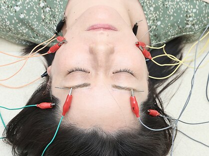 はりきゅう花桃の写真