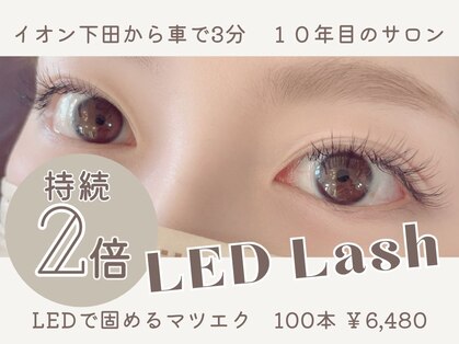 トランジットケイ(TRANSIT K)の写真