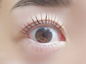 ブローマ(BROOMA)/まつ毛パーマ/マツパ