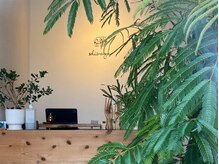 シバゴ タイ トラディショナル マッサージ(Shivago Thai traditional massage)