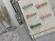 ドゥドゥ(DouDou)の写真