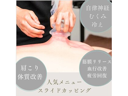 ディアローグ(Dialogue)の写真