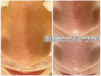 モーヴ 藤沢(MAUVE)の写真