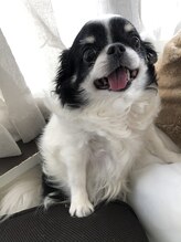 ベースカルム(Base calm)&nbsp;加藤 