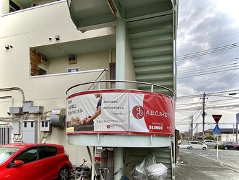 カラマツ/《外観》