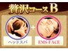 【贅沢コースB】ヘッドスパ60分＋EMS20分（フェイシャル）